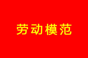 2016年勞動模范