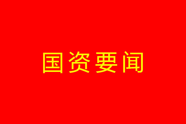 中共四川省國有資產(chǎn)監(jiān)督管理委員會委員會關(guān)于印發(fā)《黨員干部操辦婚喪喜慶事宜實(shí)施細(xì)則》的通知